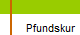 Pfundskur